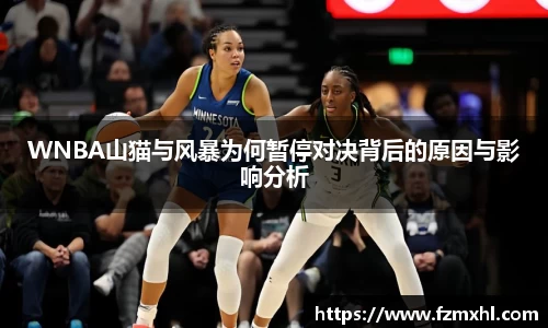 WNBA山猫与风暴为何暂停对决背后的原因与影响分析